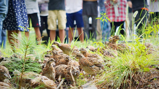 Subaru Dealer «Planet Subaru», reviews and photos, 596 Washington St, Hanover, MA 02339, USA
