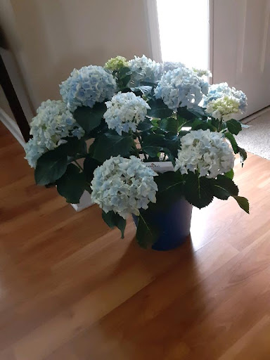 Florist «Stockbridge Florist & Gifts», reviews and photos, 118 N Berry St, Stockbridge, GA 30281, USA