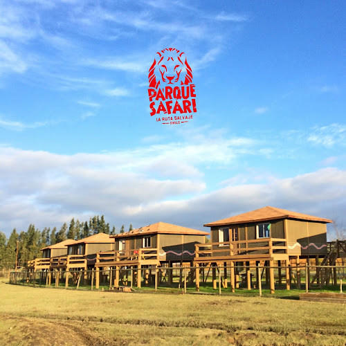 Safari Lodge - Hotel