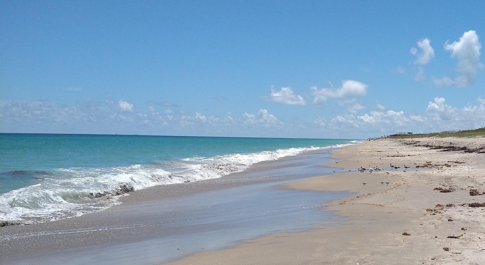 Fotografie cu Jensen beach Park cu o suprafață de nisip beige cu scoici