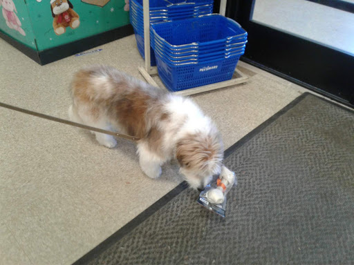 Pet Supply Store «PetSmart», reviews and photos, 5 Main St, East Hartford, CT 06118, USA