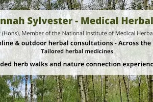 The District Herbalist - Hannah Sylvester, Medical Herbalist - Lincoln & Online image