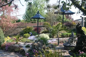 Coolwater Garden. image