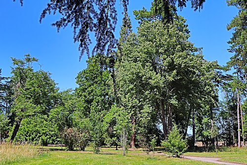 Parc de Rochilly à Brignais