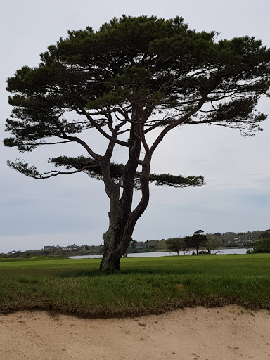 Golf Club «Maidstone Club», reviews and photos, 29 Maidstone Ln, East Hampton, NY 11937, USA