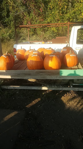 Grocery Store «Liepes Farm & Market», reviews and photos, 3135 S Cologne Ave, Mays Landing, NJ 08330, USA