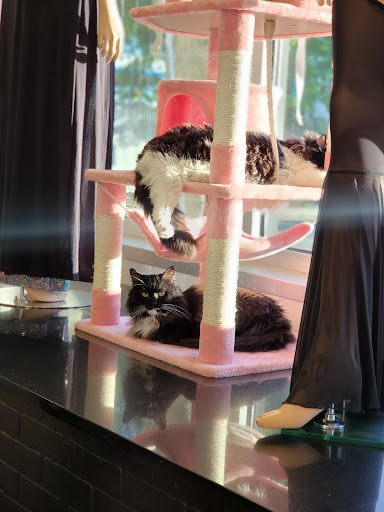 Used Clothing Store «iconoCLAD», reviews and photos, 414 300 S, Salt Lake City, UT 84111, USA