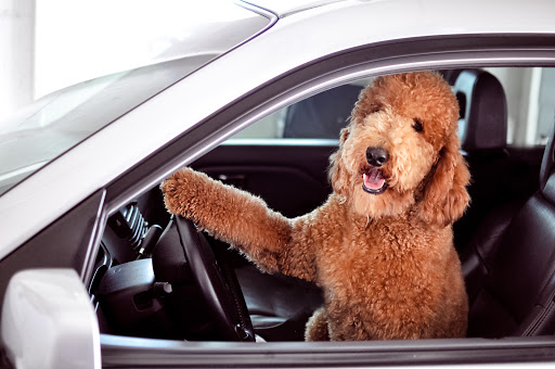 Insurance Agency «Cornerstone Insurance Inc.», reviews and photos