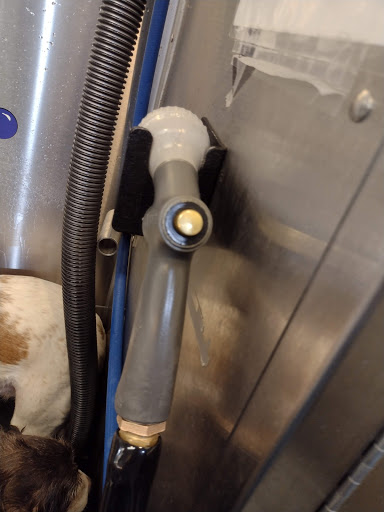Pet Groomer «Belly scRubs Self Service Pet Wash», reviews and photos, 119 WV-34 #1, Hurricane, WV 25526, USA