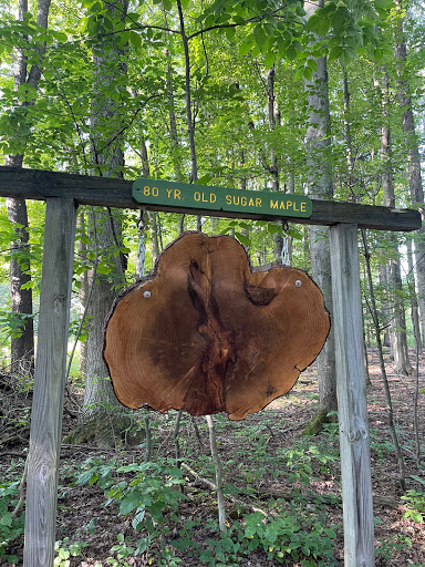 Nature Preserve «Beaver Meadow Audubon Center», reviews and photos, 1610 Welch Rd, Java Center, NY 14082, USA