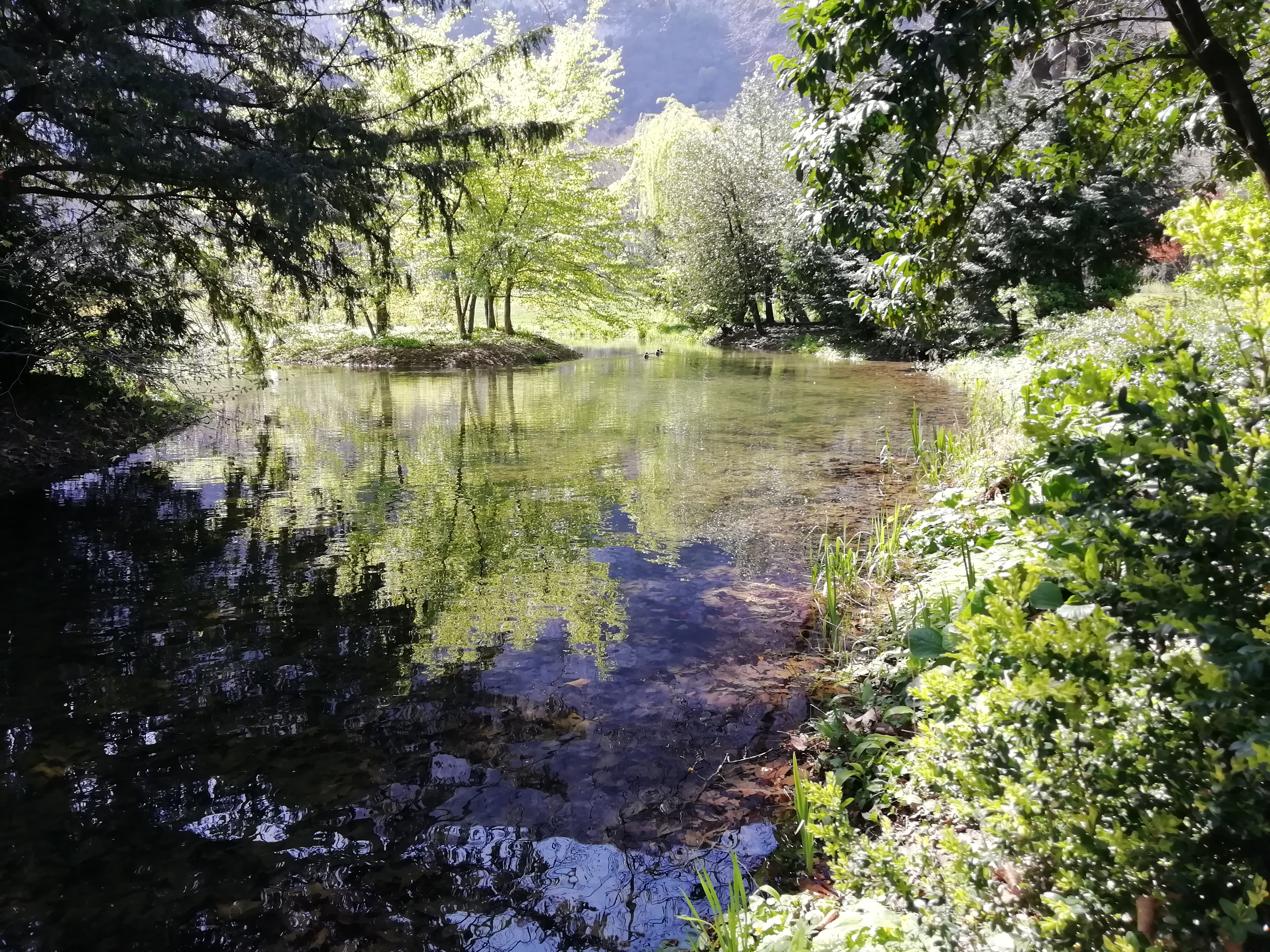 Photo n° 3 de l'avis de Muriel.c fait le 14/05/2021 à 17:25