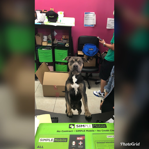 Mobile Phone Repair Shop «The Wireless Shop», reviews and photos, 26 S Federal Hwy, Dania Beach, FL 33004, USA