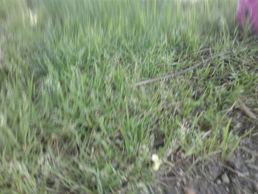 Park «Clasky Common Park», reviews and photos, Purchase St, New Bedford, MA 02740, USA