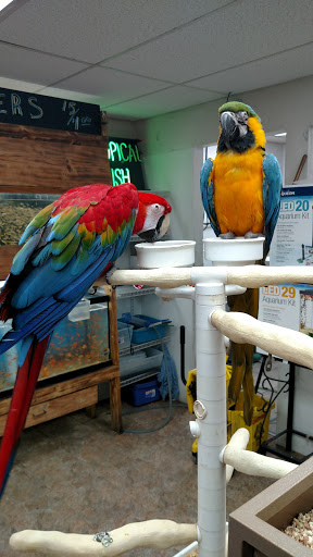 Pet Store «Feed-Rite Pet Supply», reviews and photos, 2979 Fort St, Lincoln Park, MI 48146, USA