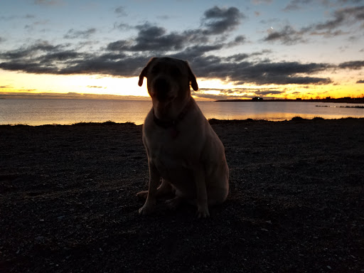 Golf Course «Short Beach Golf Course», reviews and photos, 1 Dorne Dr, Stratford, CT 06615, USA