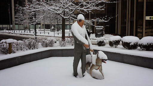 Coffee Shop «Starbucks», reviews and photos, 40 W Park Pl, Morristown, NJ 07960, USA