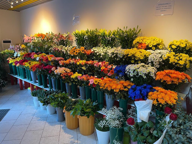 Rezensionen über Floralina in Bellinzona - Blumengeschäft