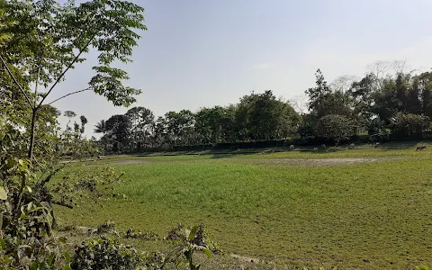 Naharpukhuri Park image