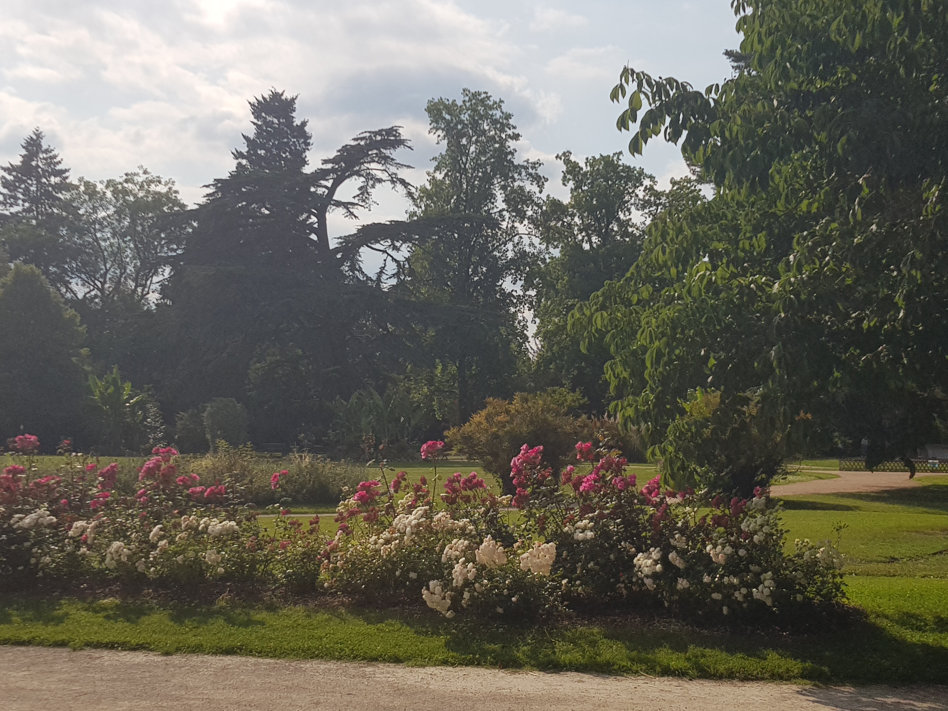 Photo n° 6 de l'avis de Marine.D fait le 09/06/2021 à 17:43