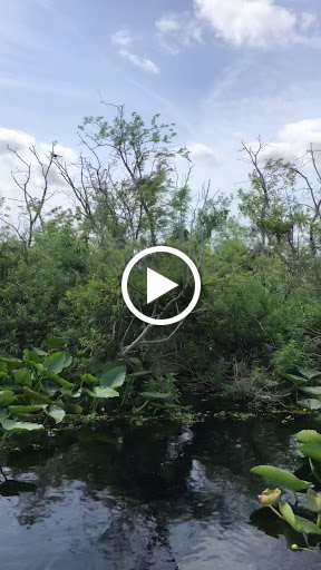 Boat Tour Agency «Alligators Unlimited Airboat Tours», reviews and photos, 14400 Reese Dr, Lake Wales, FL 33898, USA