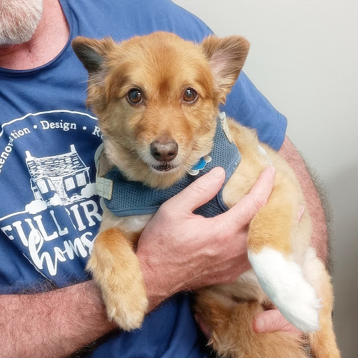 Island Pet Urgent Care image