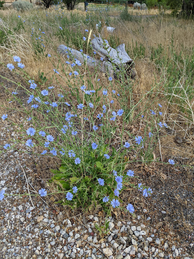Outdoor Sports Store «The Gear Room», reviews and photos, 2258 Fort Union Blvd, Cottonwood Heights, UT 84121, USA