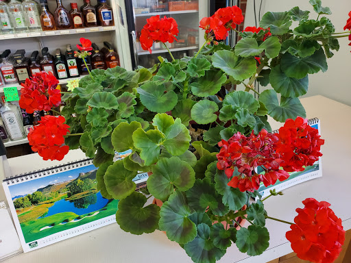 Liquor Store «Brighton Liquor Store», reviews and photos, 611 S 4th Ave, Brighton, CO 80601, USA