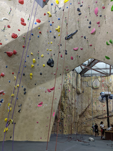 Rock Climbing Gym «Planet Granite», reviews and photos, 100 El Camino Real, Belmont, CA 94002, USA