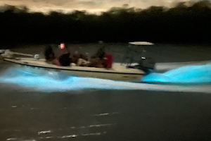 Bioluminescence Boat Tours image