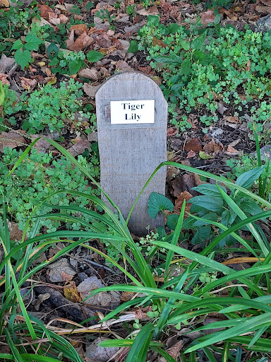 Museum «Lewis & Clark Boat House», reviews and photos, 1050 S Riverside Dr, St Charles, MO 63301, USA