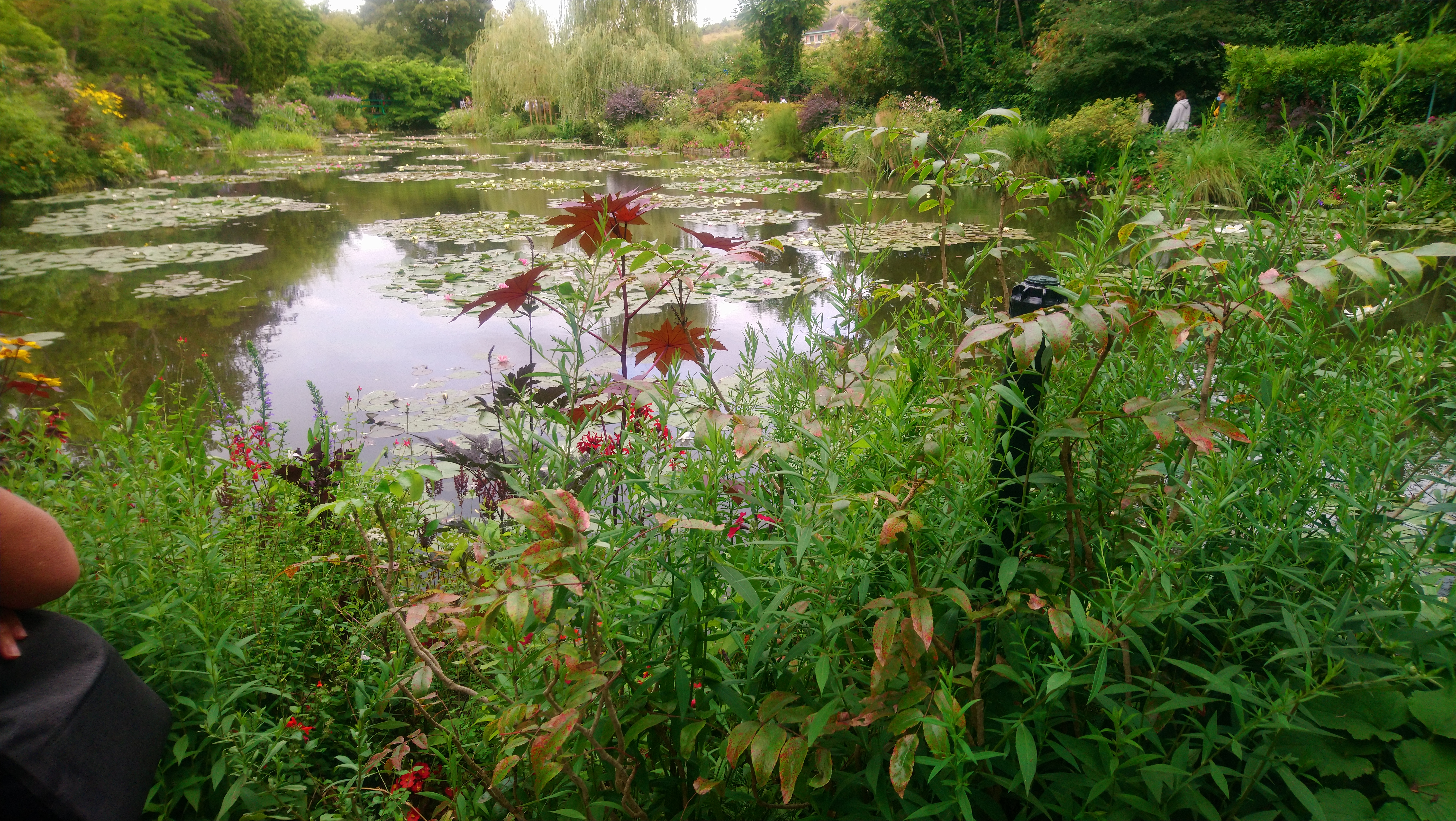 Photo n° 35 de l'avis de Angèle.K fait le 03/08/2020 à 11:24