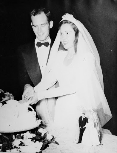 Plant Nursery «Wilcox Nursery», reviews and photos, 12501 Indian Rocks Rd, Largo, FL 33774, USA