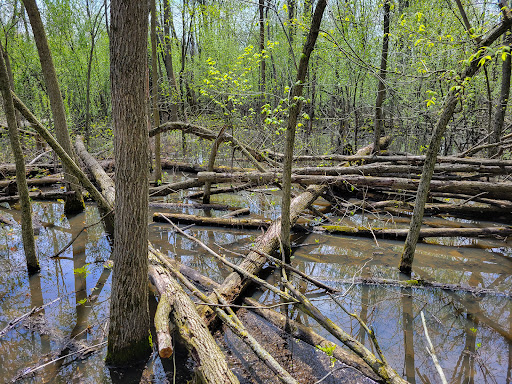 Nature Preserve «W w Knight Nature Preserve», reviews and photos, 29530 White Rd, Perrysburg, OH 43551, USA