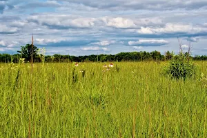 Dunnville State Wildlife Area image