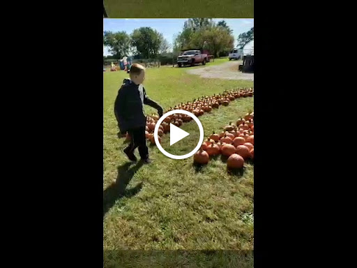 Greenhouse «Stiles Vegetable Farm and Greenhouse», reviews and photos, 11717 Sheridan Rd, Pleasant Prairie, WI 53158, USA