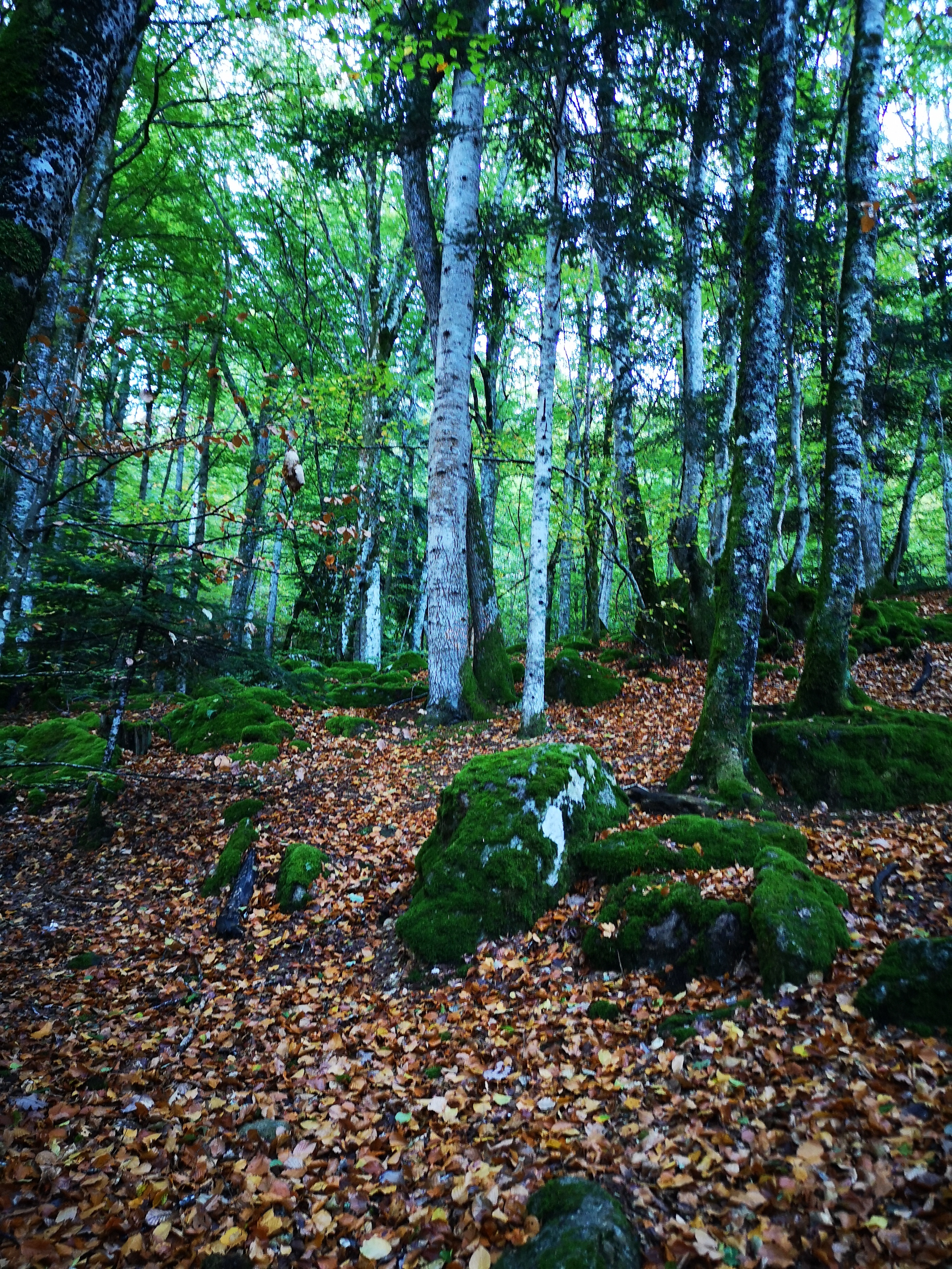 Photo n° 4 de l'avis de Gauvain.o fait le 02/11/2023 à 07:37