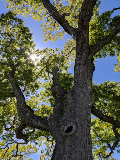 Park «Forge Pond Park», reviews and photos, 245 King St, Hanover, MA 02339, USA