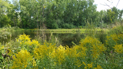 Park «Evergreen West Park», reviews and photos, 1033 Tamberwood Trail, St Paul, MN 55125, USA