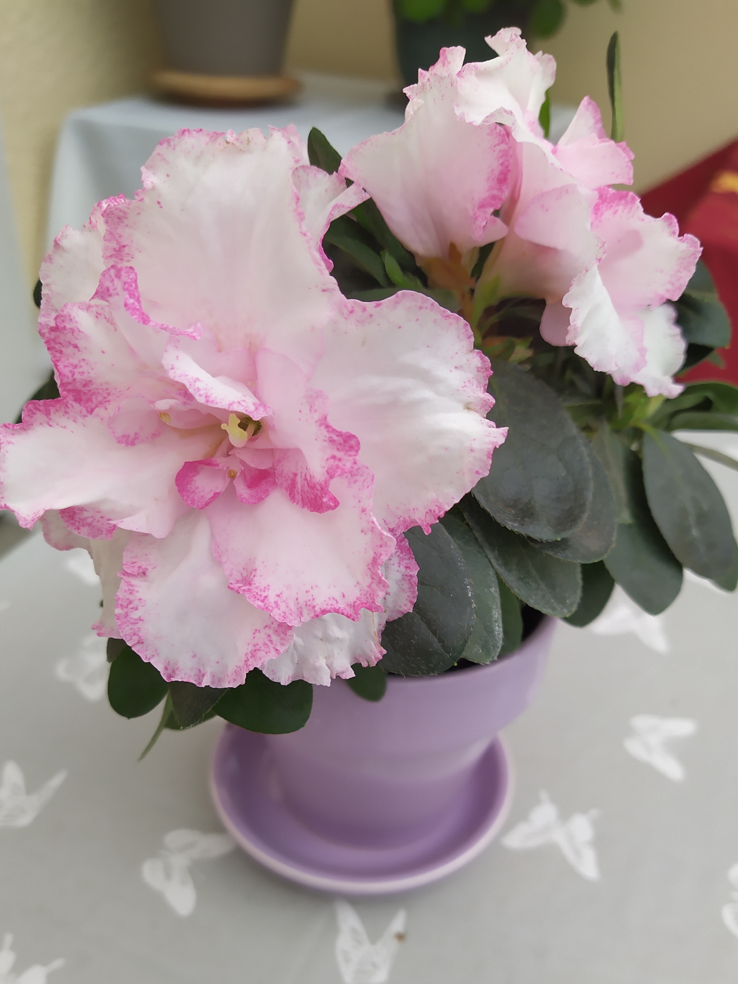 Photo n° 2 de l'avis de Rose-Marie.a fait le 23/10/2019 à 11:01