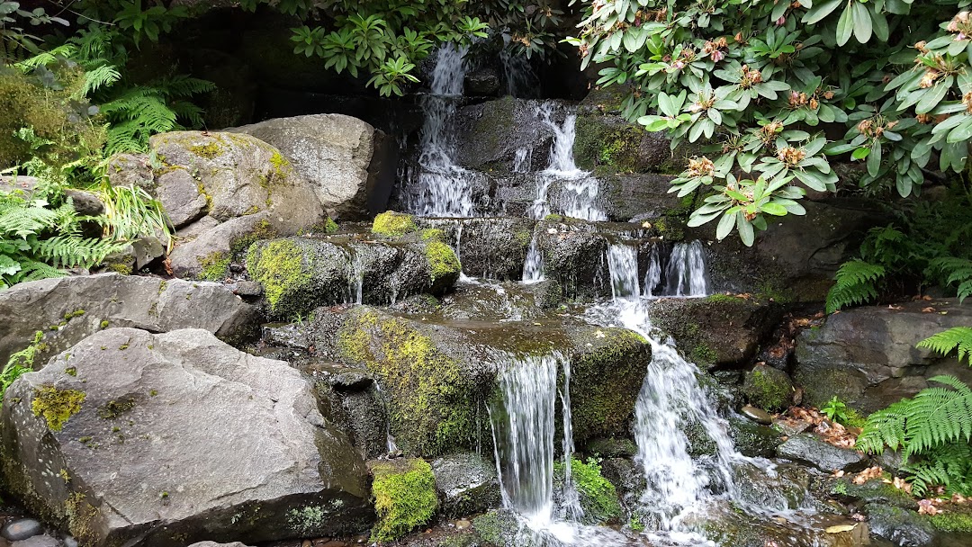 Crystal Springs Rhododendron Garden