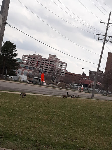 Park «McCullough Park», reviews and photos, W Illinois Ave, Aurora, IL 60506, USA