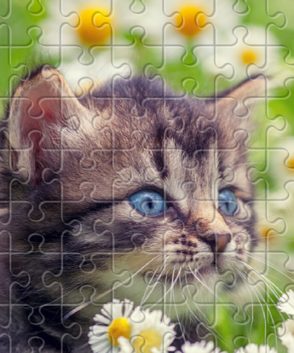 American Restaurant «Cracker Barrel Old Country Store», reviews and photos, 6941 Charlotte Pike, Nashville, TN 37209, USA