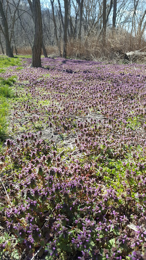 Park «Henry Hudson Trail / Popamora Point», reviews and photos, Shore Dr, Atlantic Highlands, NJ 07716, USA