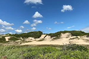 Parque Estadual Acaraí image