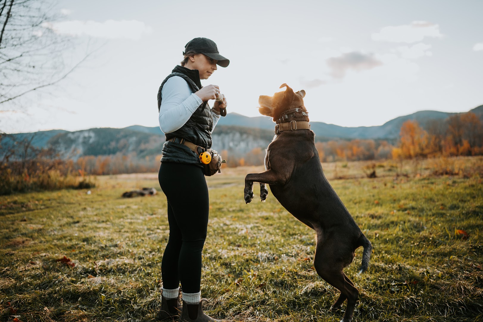 Conversant Canine