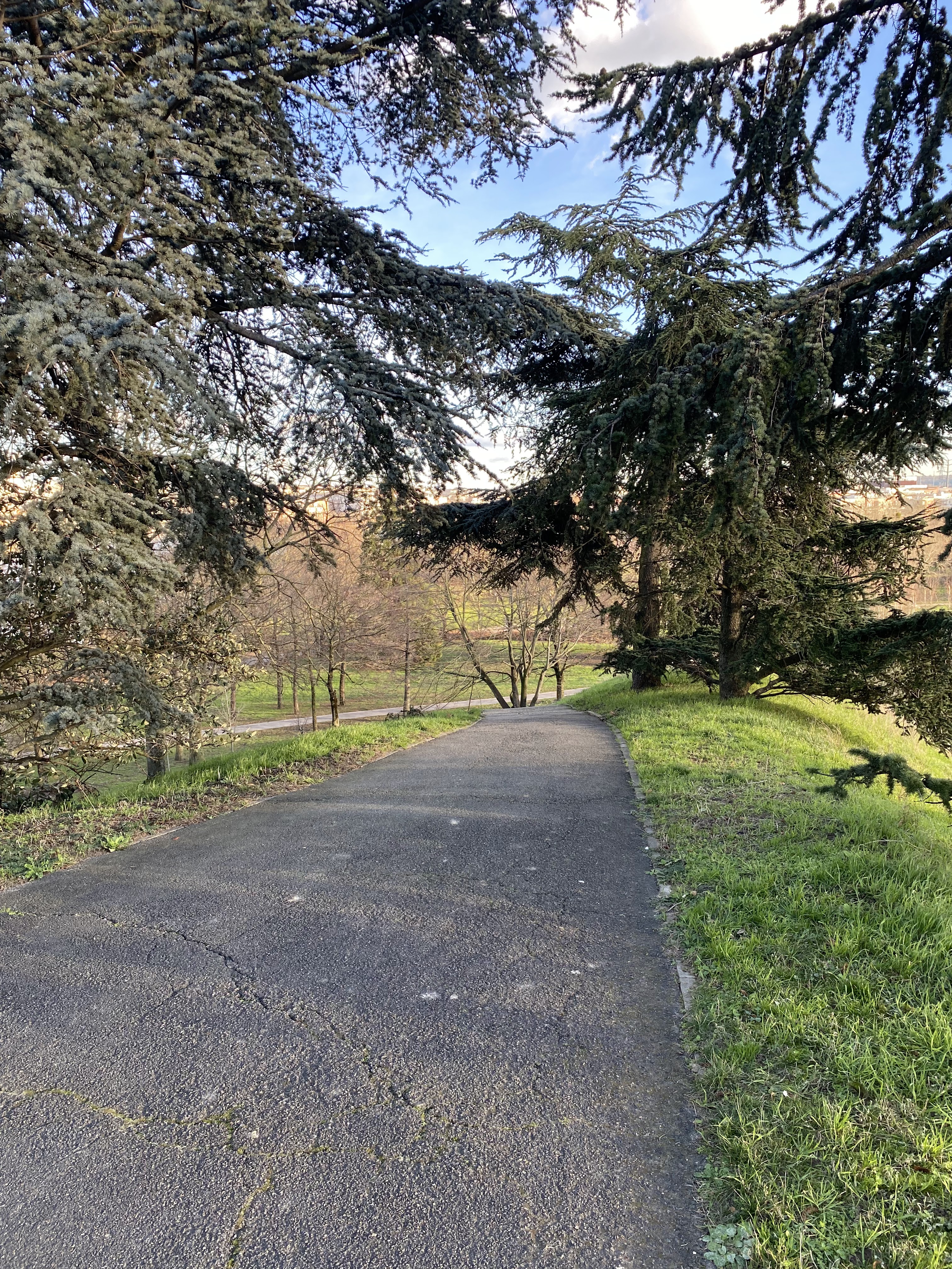 Photo n° 34 de l'avis de jérémie-louis.D fait le 16/01/2024 à 00:35