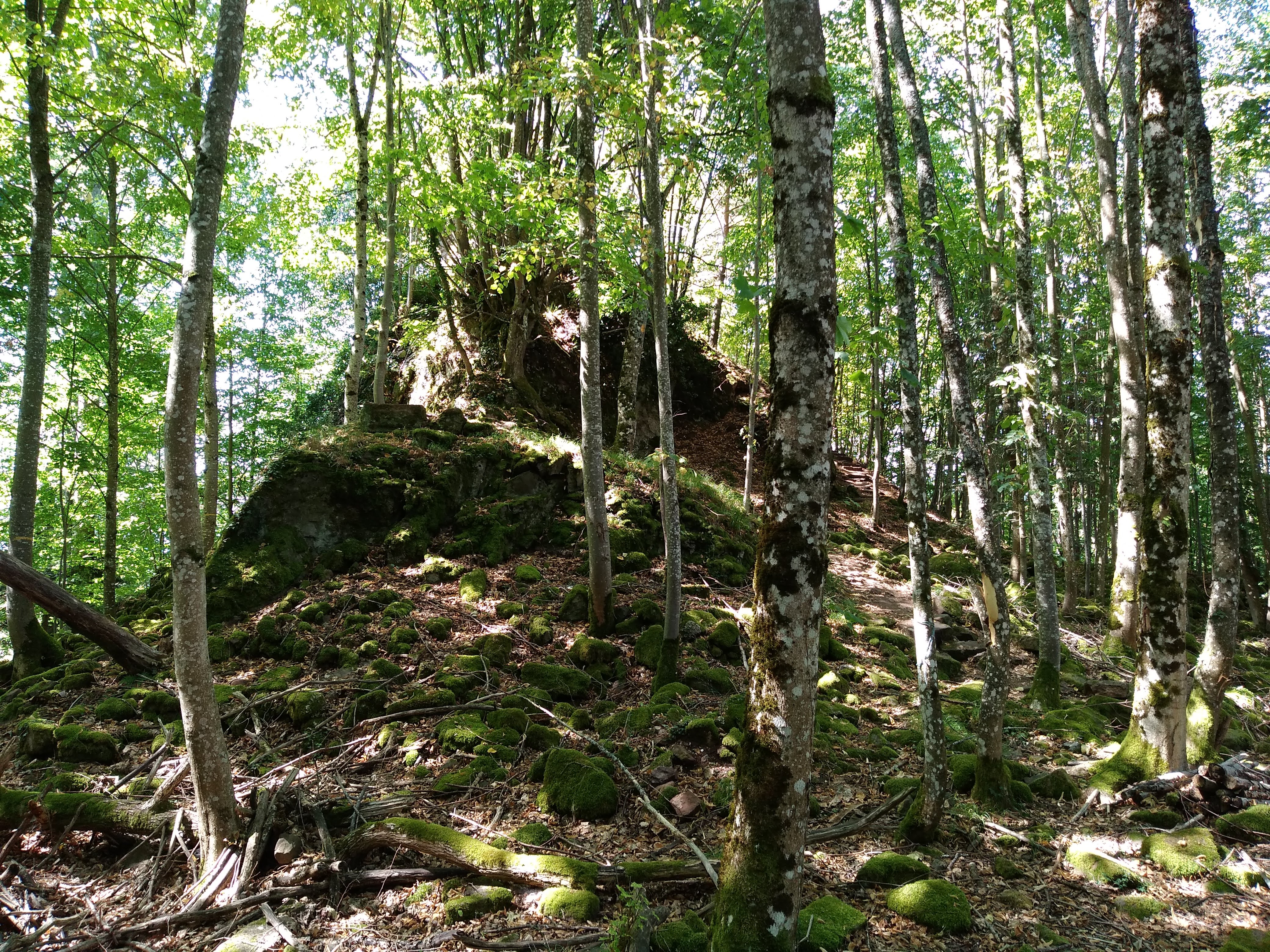 Photo n° 1 de l'avis de Klemens. fait le 26/07/2020 à 08:44