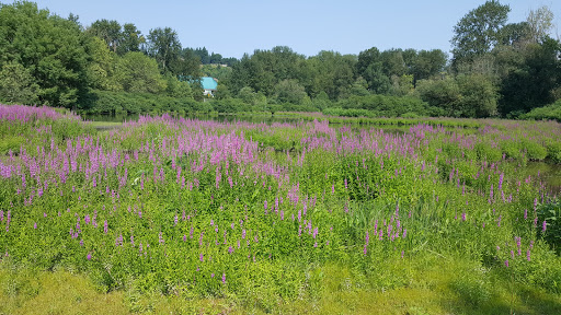 Museum «Vancouver Water Resources Education Center», reviews and photos, 4600 SE Columbia Way, Vancouver, WA 98661, USA