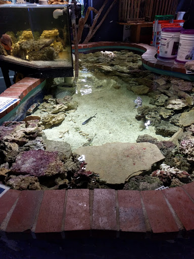 Aquarium «Old Orchard Aquarium», reviews and photos, 9235 Skokie Blvd, Skokie, IL 60077, USA