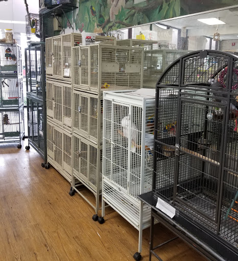 Pet Store «A Family Pet Center», reviews and photos, 6230 N Lockwood Ridge Rd, Sarasota, FL 34243, USA